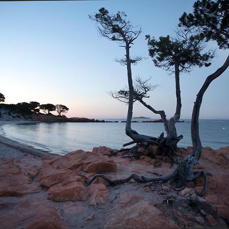 Residence U Latonu - Palombaggia Porto-Vecchio  Eksteriør billede