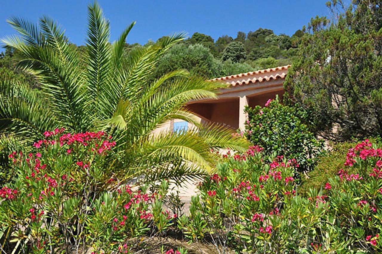 Residence U Latonu - Palombaggia Porto-Vecchio  Eksteriør billede