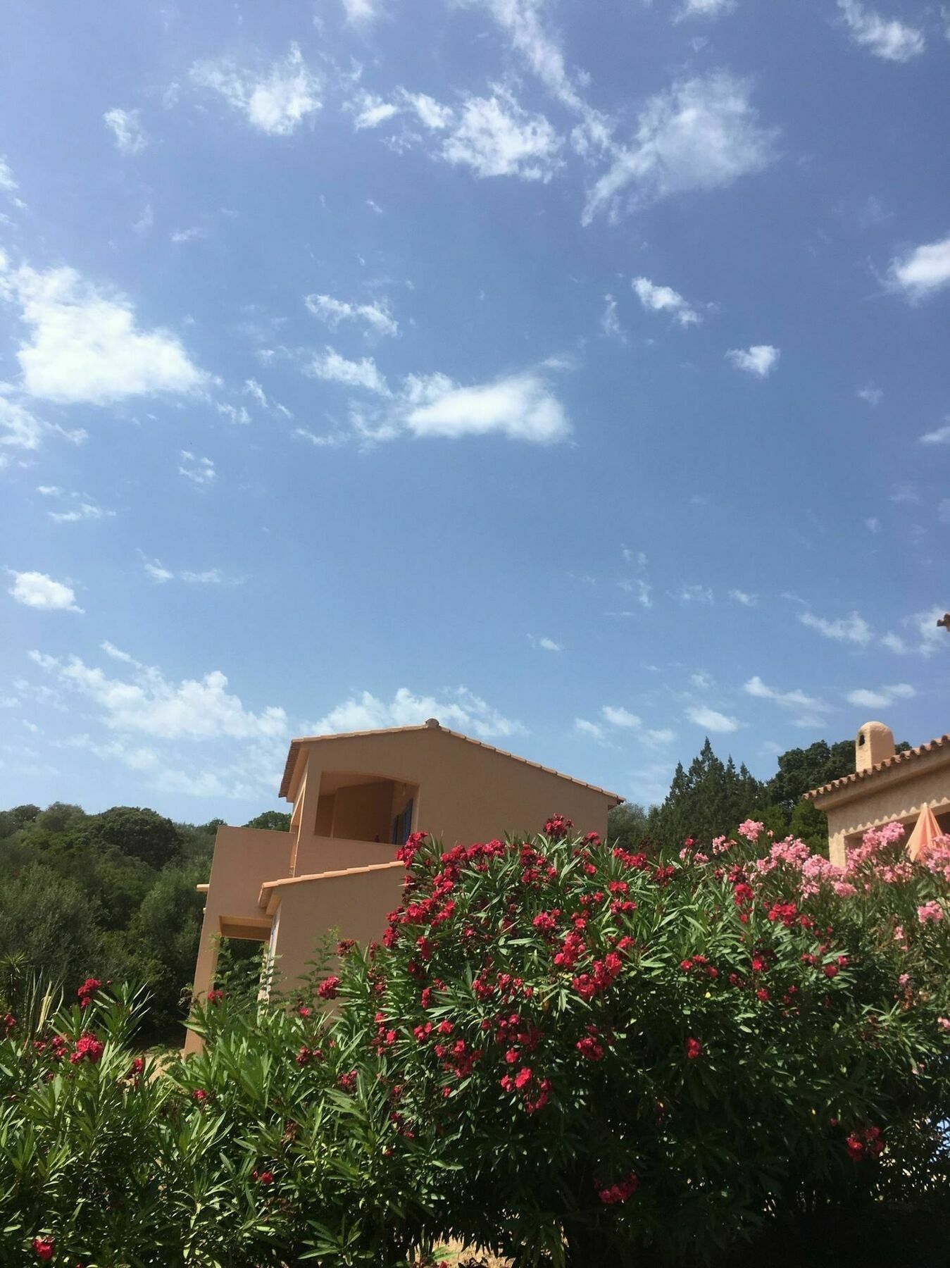 Residence U Latonu - Palombaggia Porto-Vecchio  Eksteriør billede